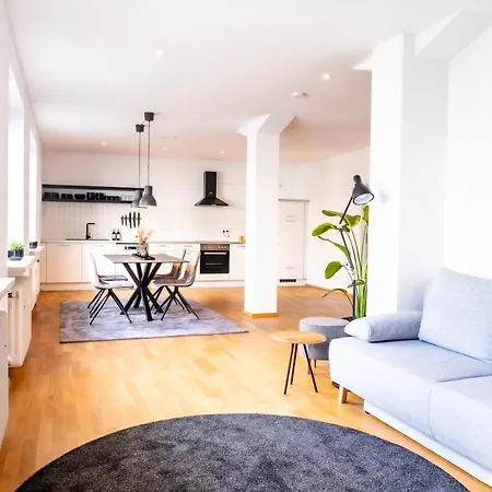 Stycoz - Modernes Loft - 80 M2 - Kueche - Parken Apartment